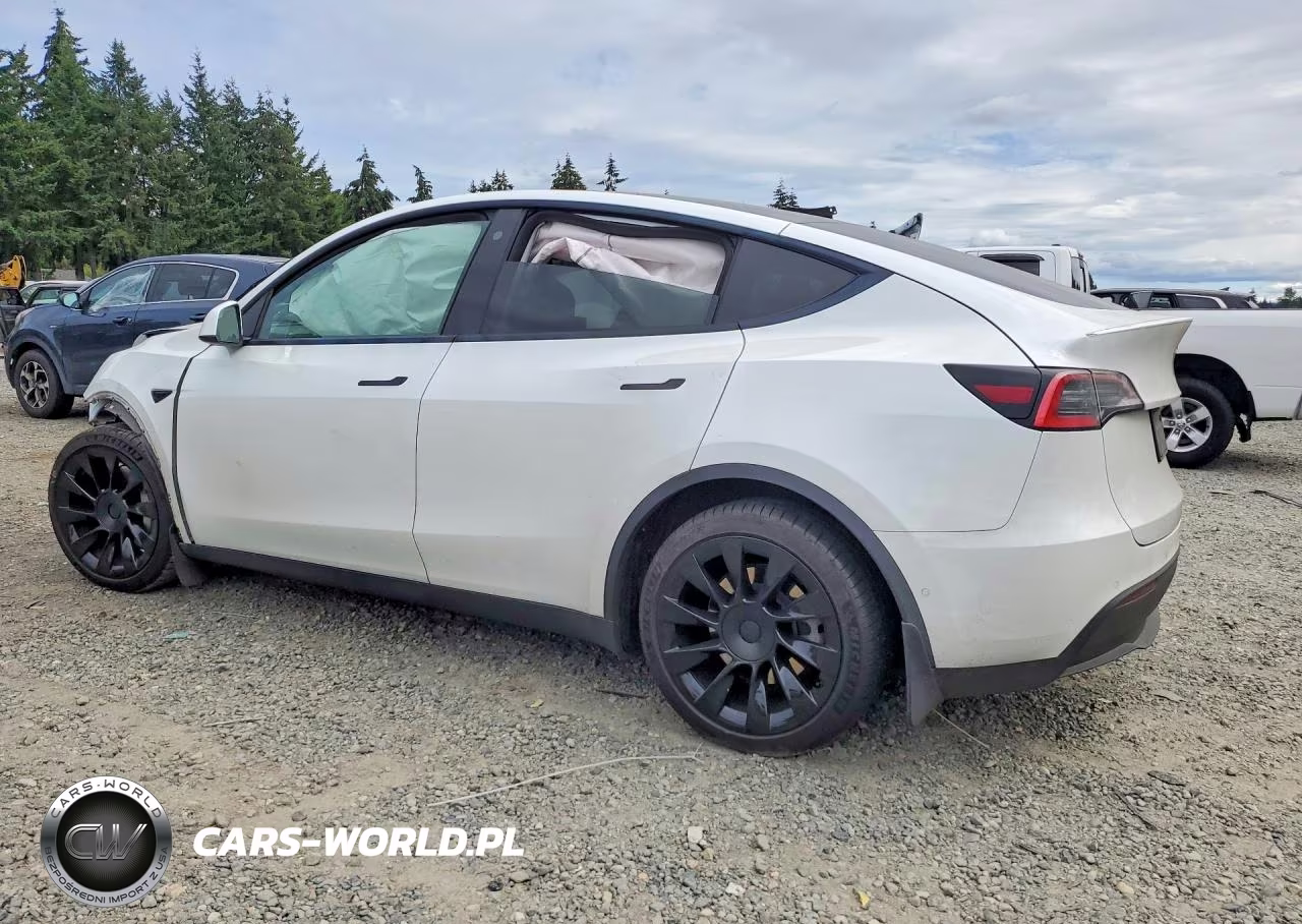 2021 Tesla Model Y VIN:5YJYGDEE9MF098009 - 2