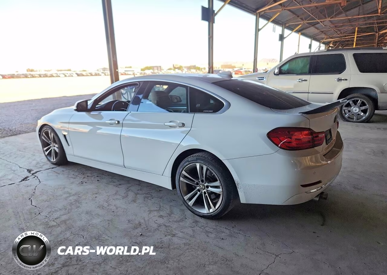 2016 BMW 428 I Gran Coupe Sulev VIN:WBA4A9C50GGL87450 - 2
