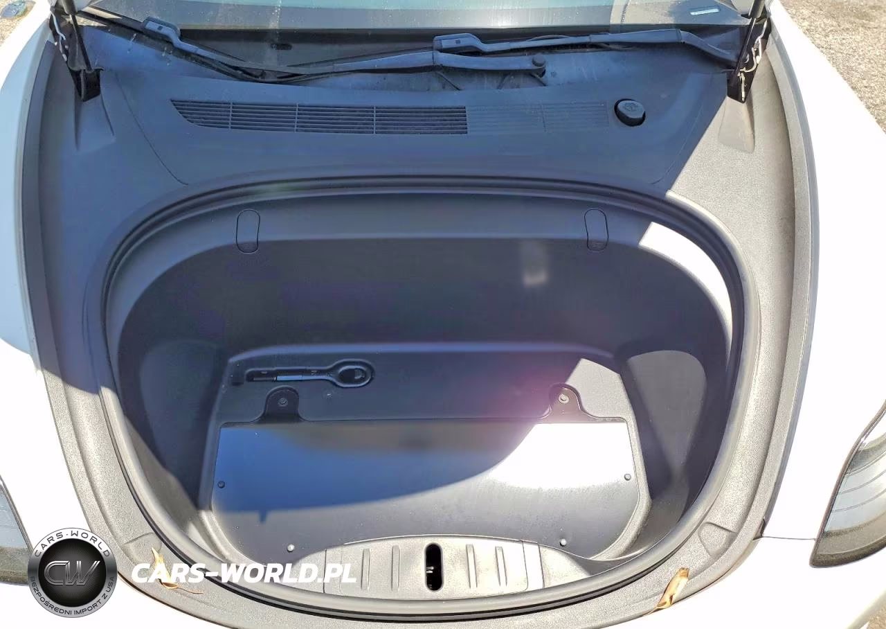 2019 Tesla Model 3 VIN:5YJ3E1EA3KF326952 - 11