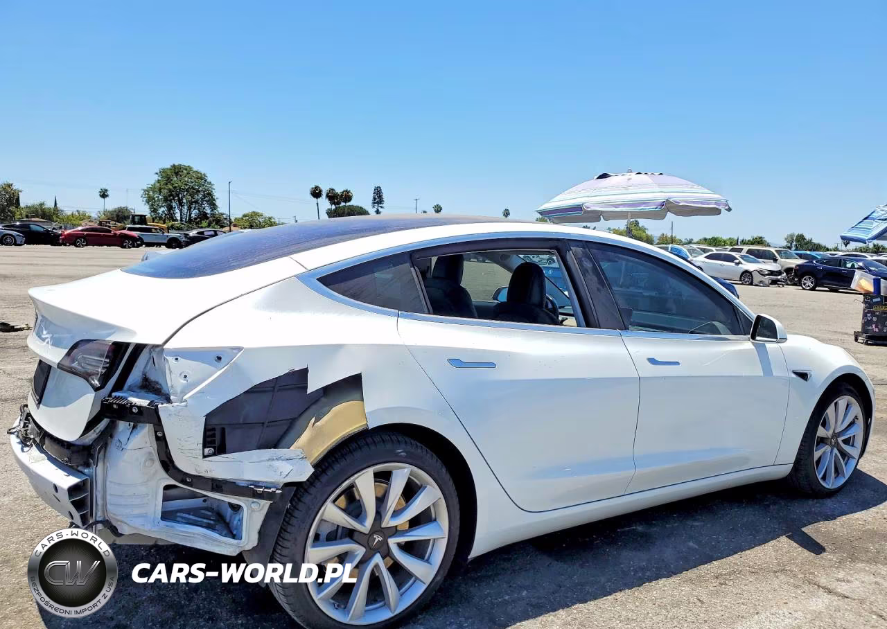 2019 Tesla Model 3 VIN:5YJ3E1EA3KF326952 - 3