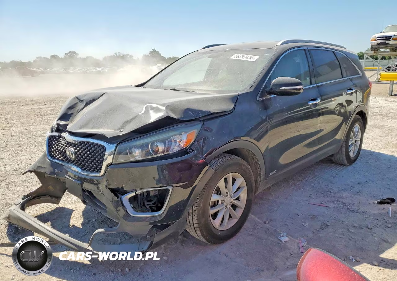2017 Kia Sorento Lx VIN:5XYPGDA33HG206722 - 1