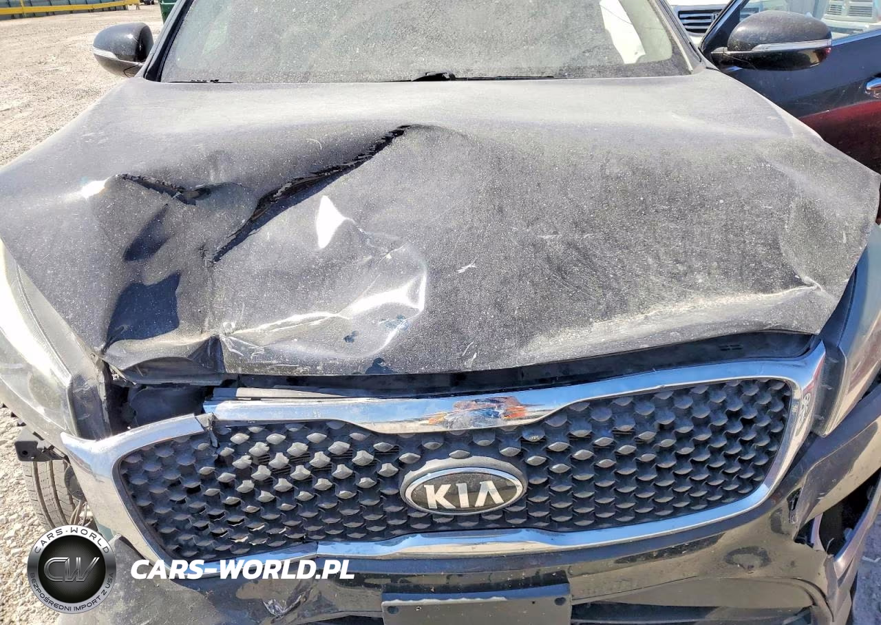 2017 Kia Sorento Lx VIN:5XYPGDA33HG206722 - 12
