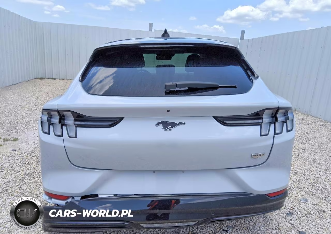 2021 Ford Mustang Mach-E California Route 1 VIN:3FMTK2R72MMA08926 - 6