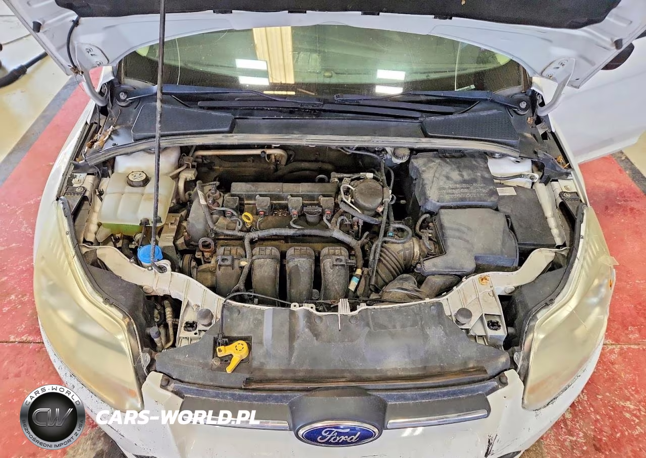 2014 Ford Focus S VIN:1FADP3E21EL238816 - 11