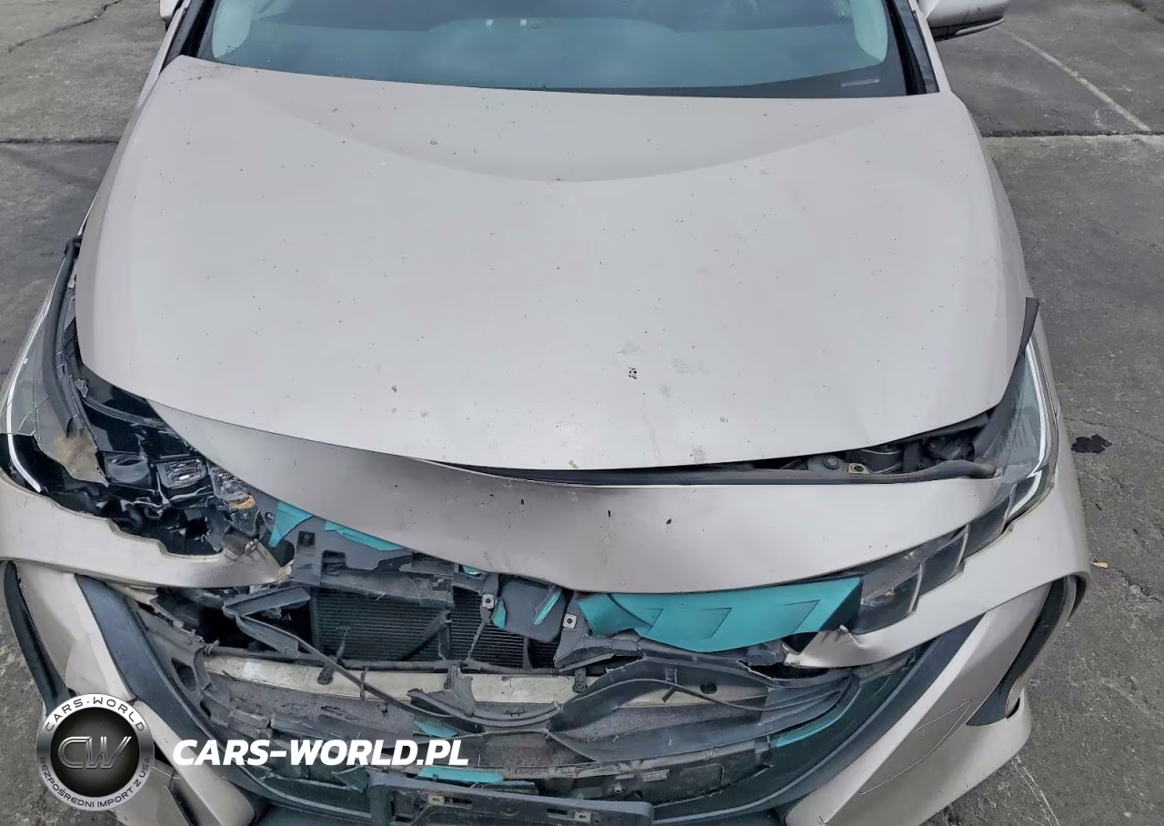 2019 Toyota Prius Prime Plus VIN:JTDKARFP8K3108494 - 11