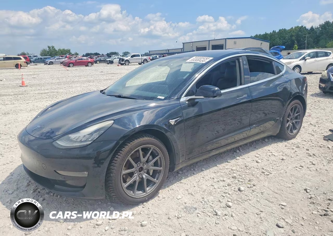 2019 Tesla Model 3