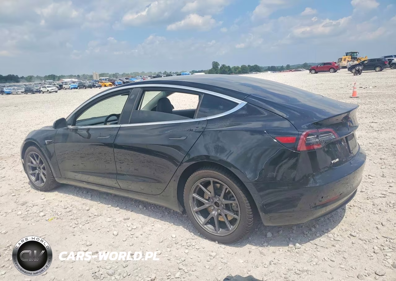 2019 Tesla Model 3 VIN:5YJ3E1EB0KF208804 - 2