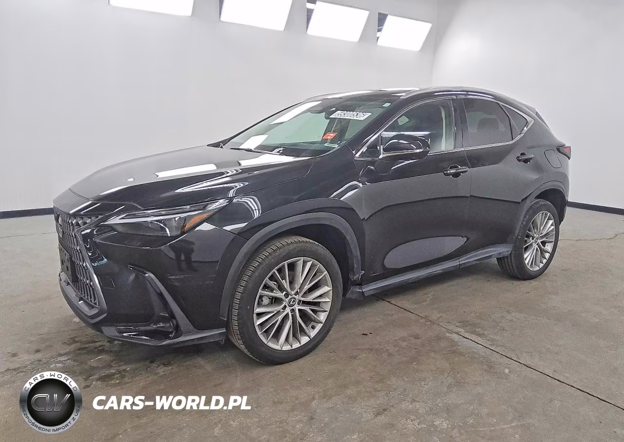 2024 Lexus Nx 350 Luxury VIN:2T2HGCEZ4RC048672 - 1
