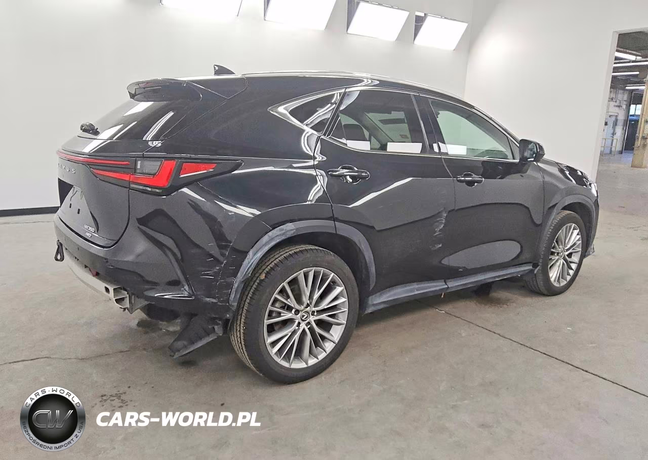 2024 Lexus Nx 350 Luxury VIN:2T2HGCEZ4RC048672 - 3