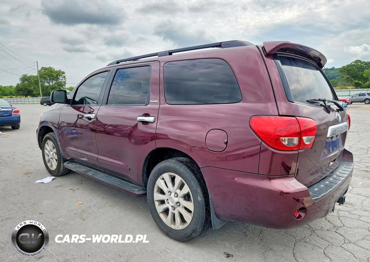 2010 Toyota Sequoia Platinum VIN:5TDDW5G10AS029864 - 2