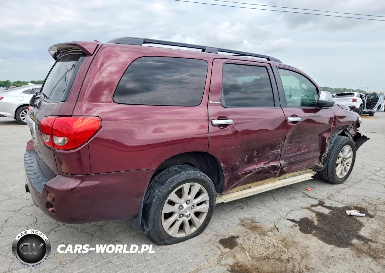 2010 Toyota Sequoia Platinum VIN:5TDDW5G10AS029864 - 3