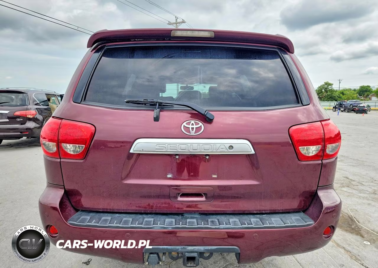2010 Toyota Sequoia Platinum VIN:5TDDW5G10AS029864 - 6
