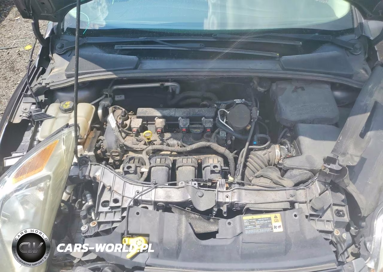 2014 Ford Focus Se VIN:1FADP3K25EL166149 - 11