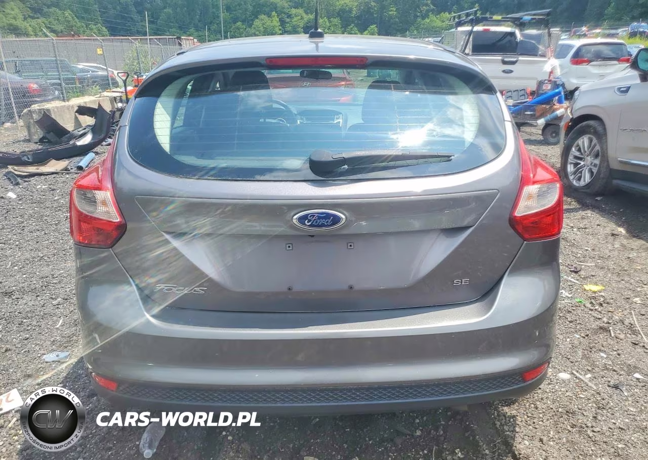2014 Ford Focus Se VIN:1FADP3K25EL166149 - 6
