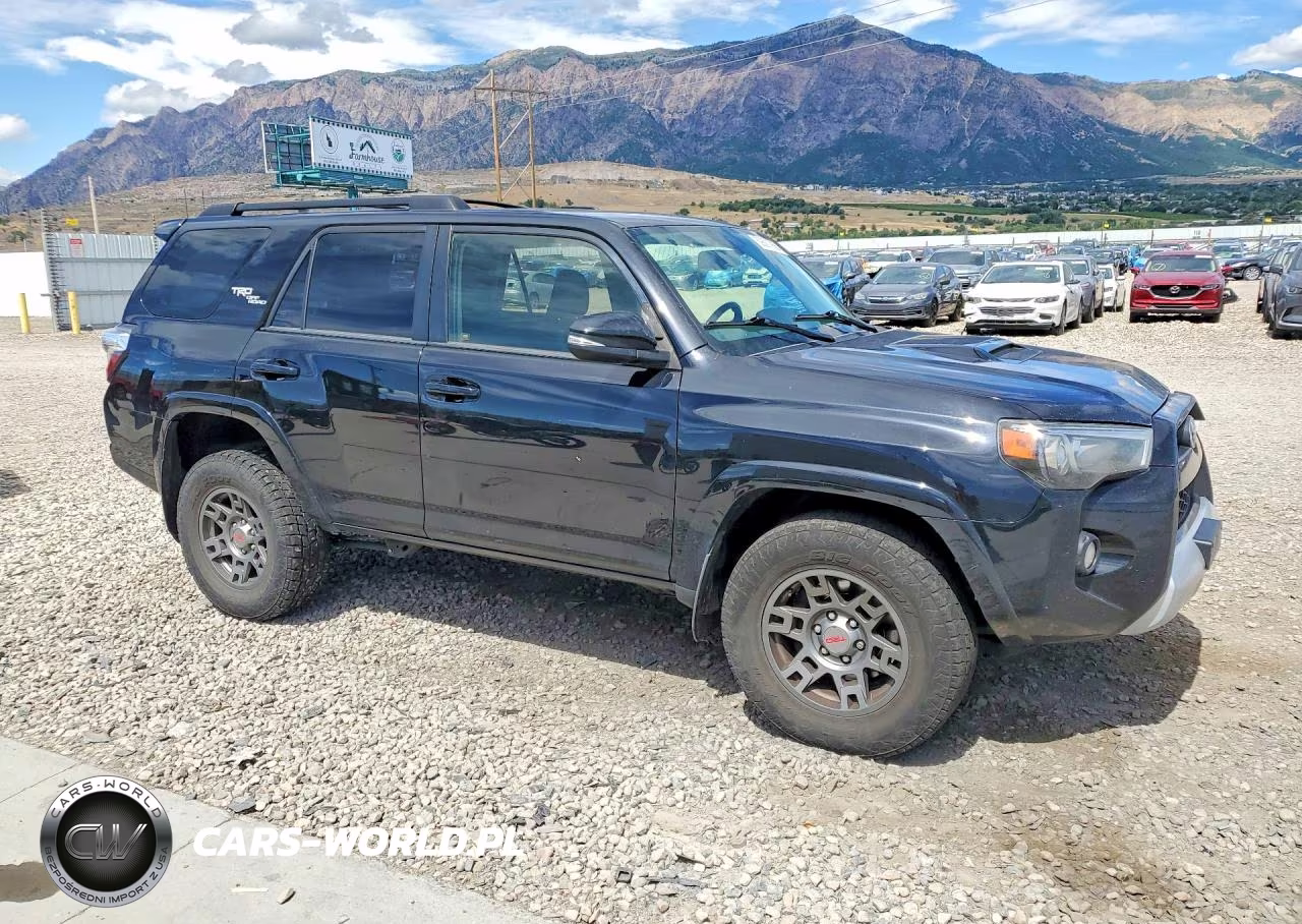 2019 Toyota 4Runner Trd Off-Road Premium VIN:JTEBU5JR6K5650105 - 4