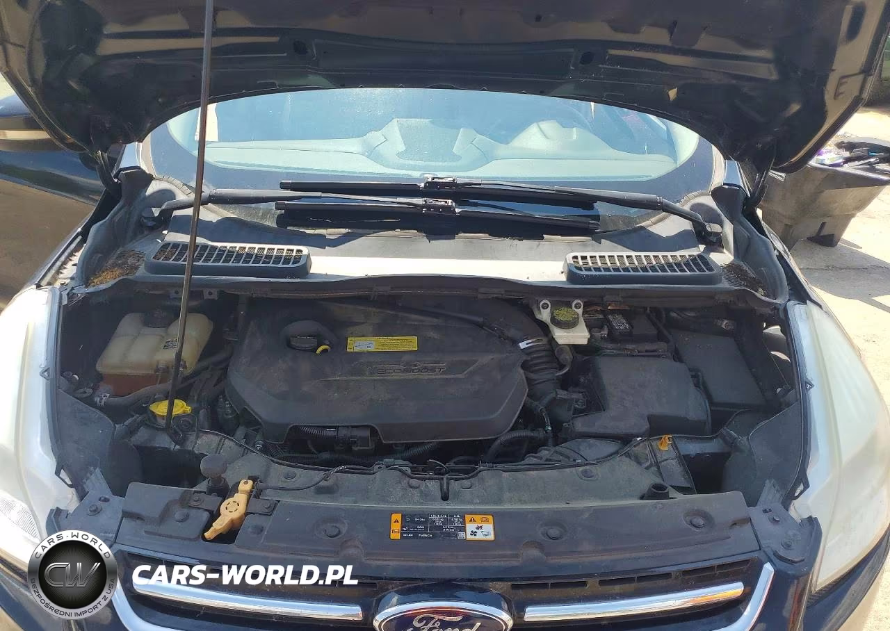 2013 Ford Escape Sel VIN:1FMCU0HX6DUB12699 - 11