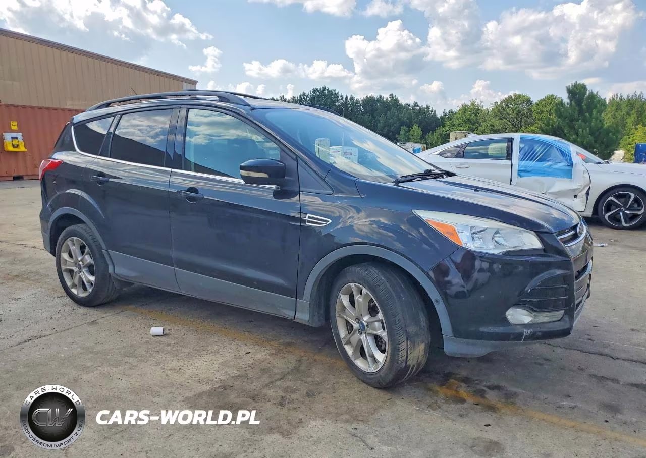 2013 Ford Escape Sel VIN:1FMCU0HX6DUB12699 - 4