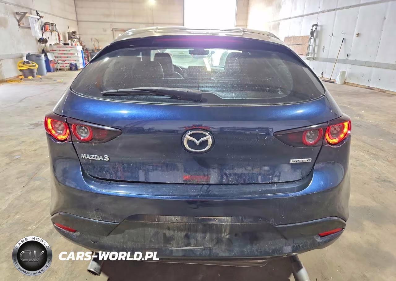2019 Mazda 3 Preferred Plus VIN:JM1BPALM0K1117552 - 6