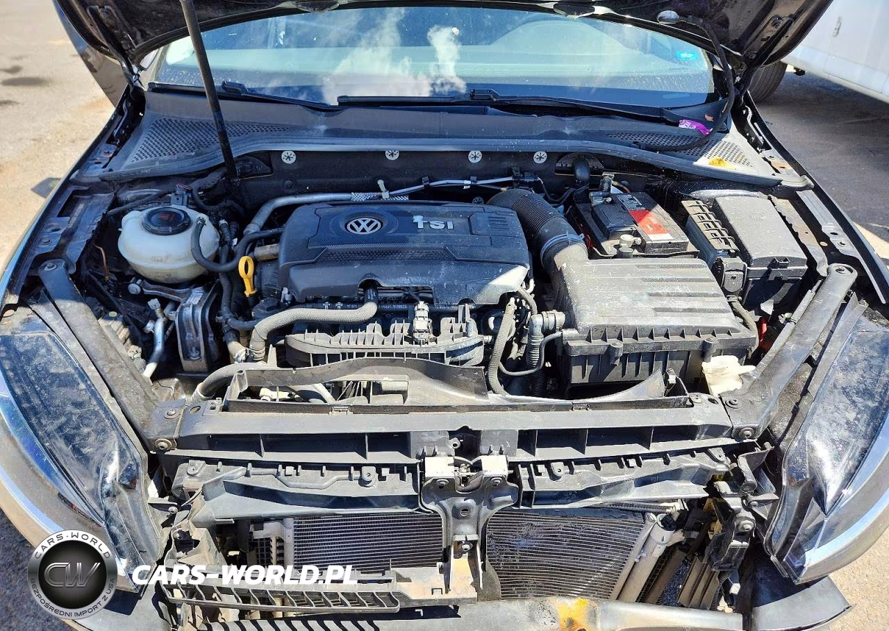 2018 Volkswagen Golf Sportwagen S VIN:3VWD17AU1JM767179 - 12