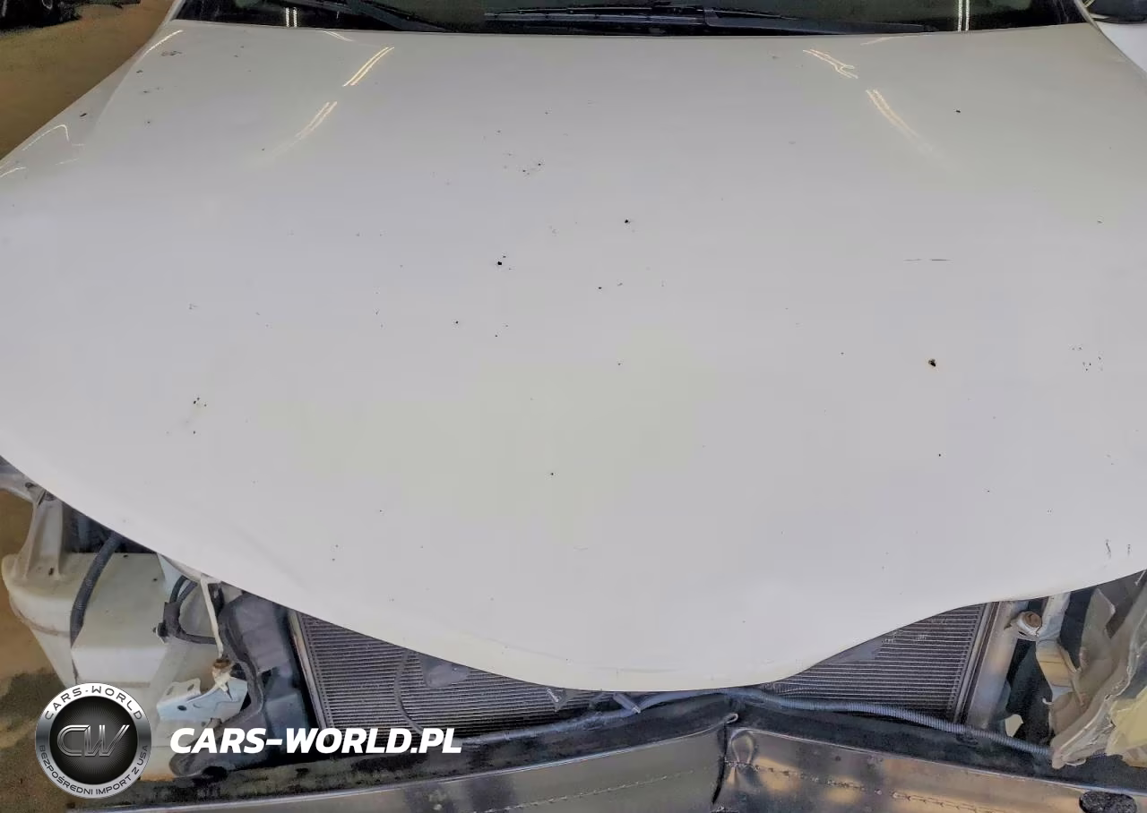 2013 Toyota Camry L VIN:4T1BF1FK6DU675724 - 11