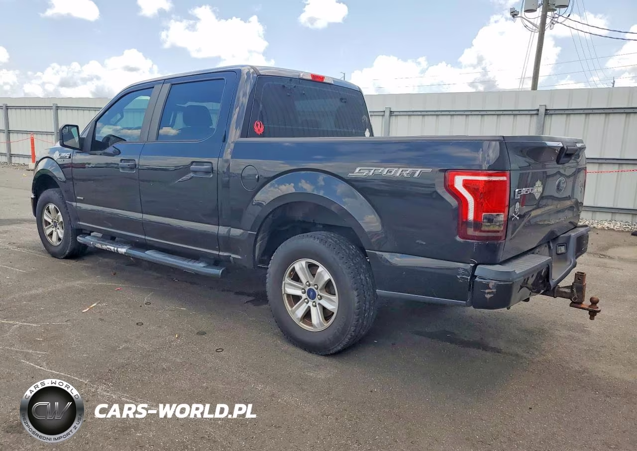 2015 Ford F150 Supercrew VIN:1FTEW1CP0FFB30448 - 2