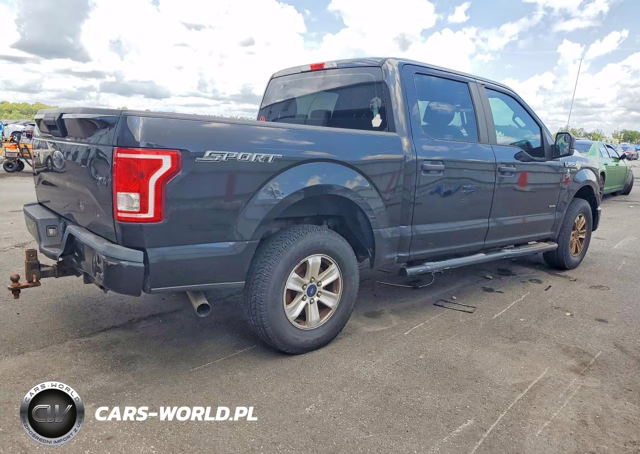 2015 Ford F150 Supercrew VIN:1FTEW1CP0FFB30448 - 3