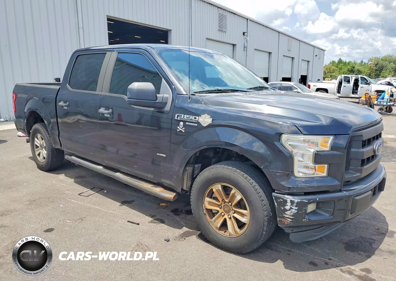 2015 Ford F150 Supercrew VIN:1FTEW1CP0FFB30448 - 4