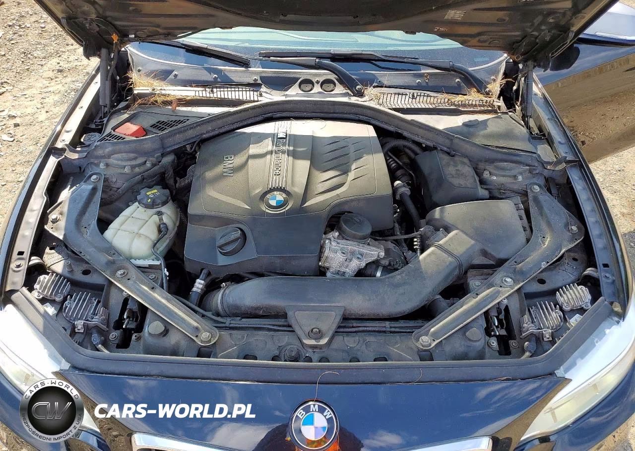2016 BMW M235Xi VIN:WBA1M5C5XGV326721 - 11