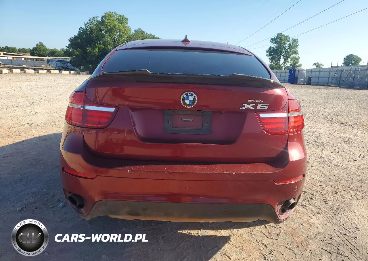 2013 BMW X6 xDrive35I VIN:5UXFG2C57DL785371 - 6