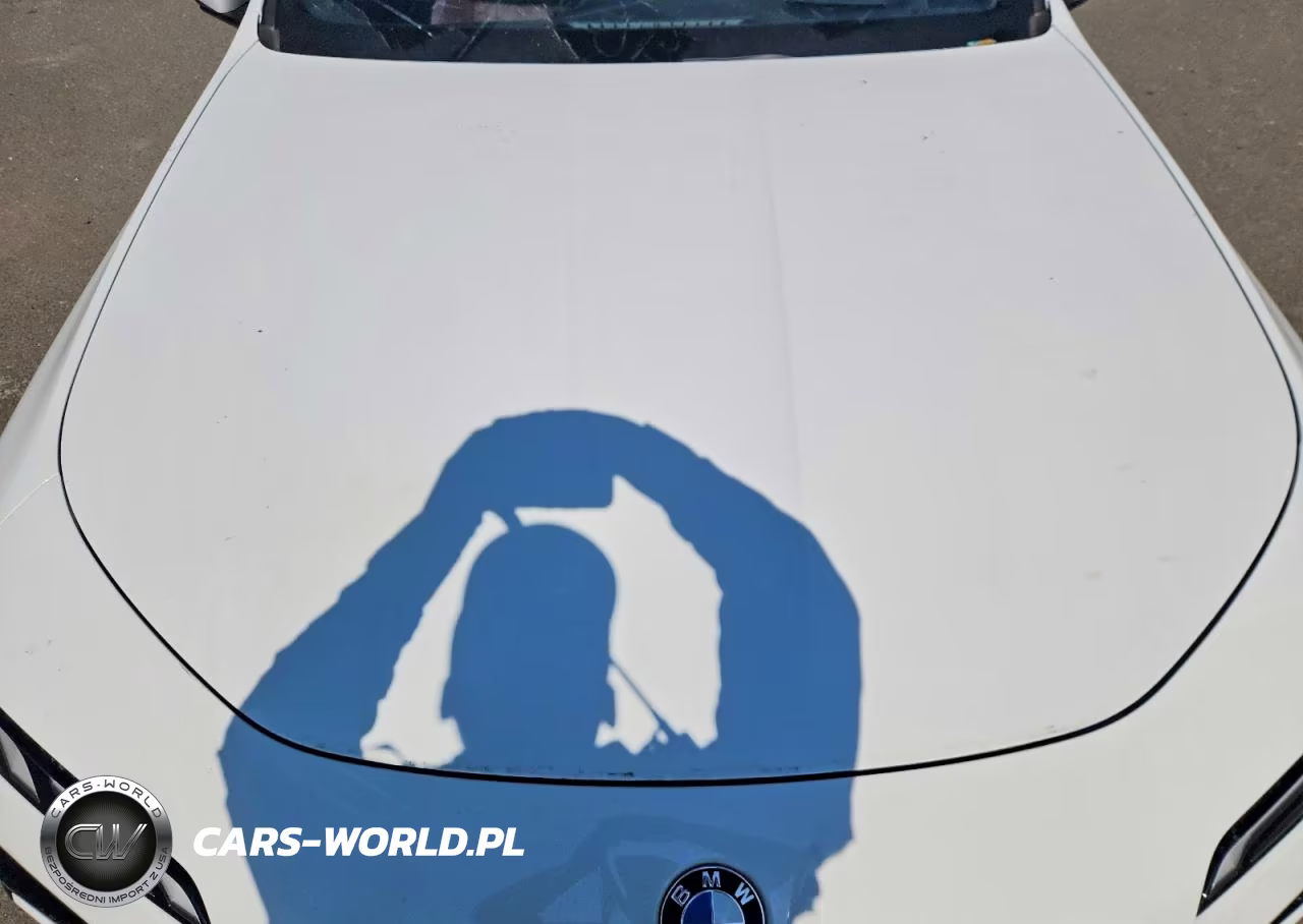 2024 BMW 760 Xi VIN:WBA33EJ08RCS63961 - 11