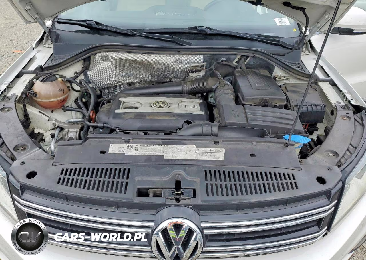2012 Volkswagen Tiguan S VIN:WVGBV7AX8CW581906 - 12