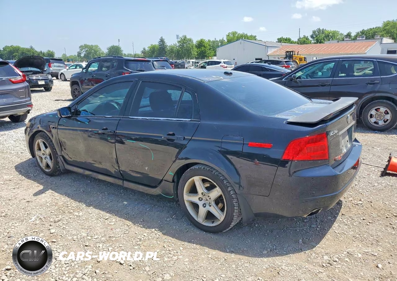 2004 Acura Tl VIN:19UUA66224A049759 - 2