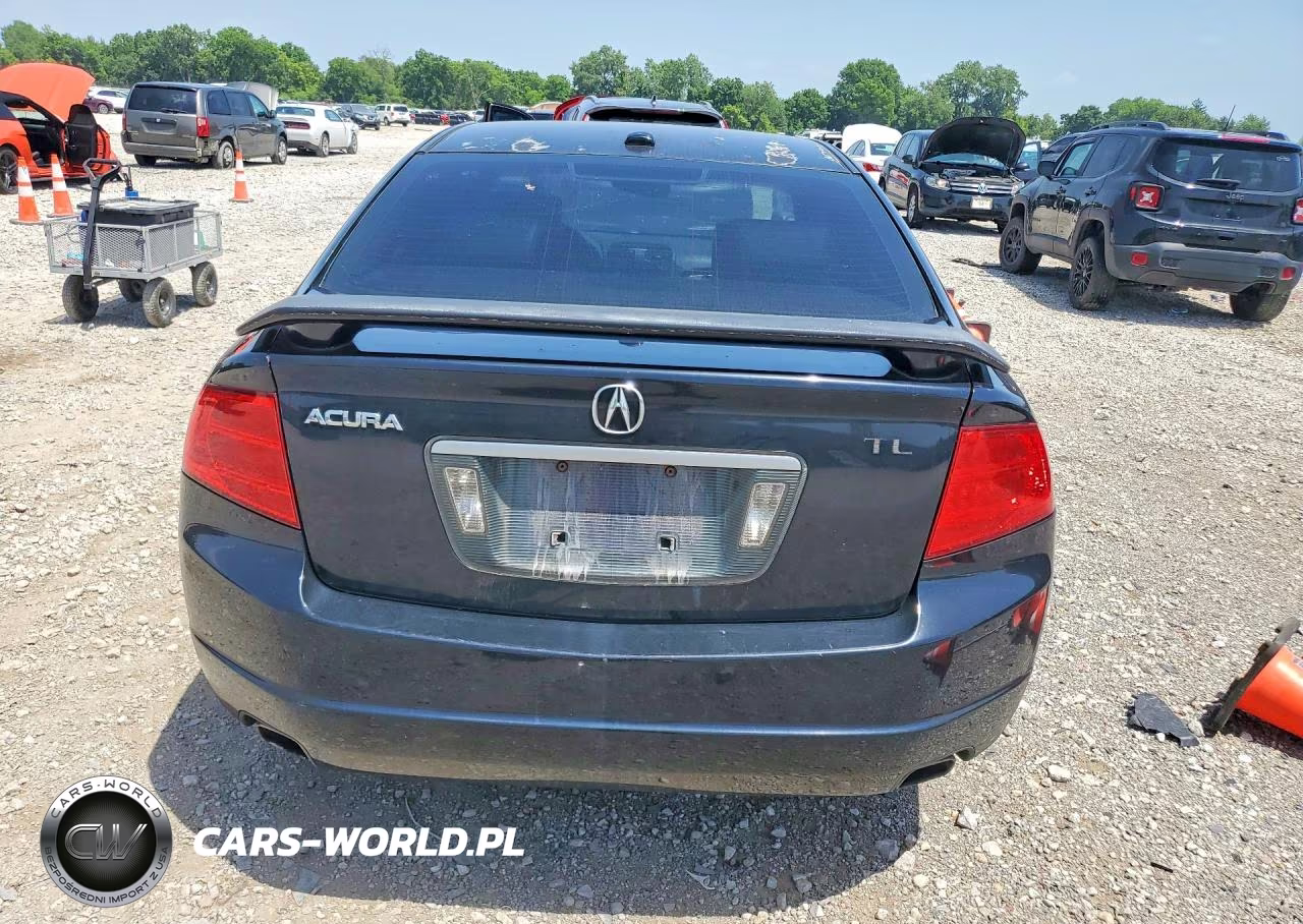 2004 Acura Tl VIN:19UUA66224A049759 - 6