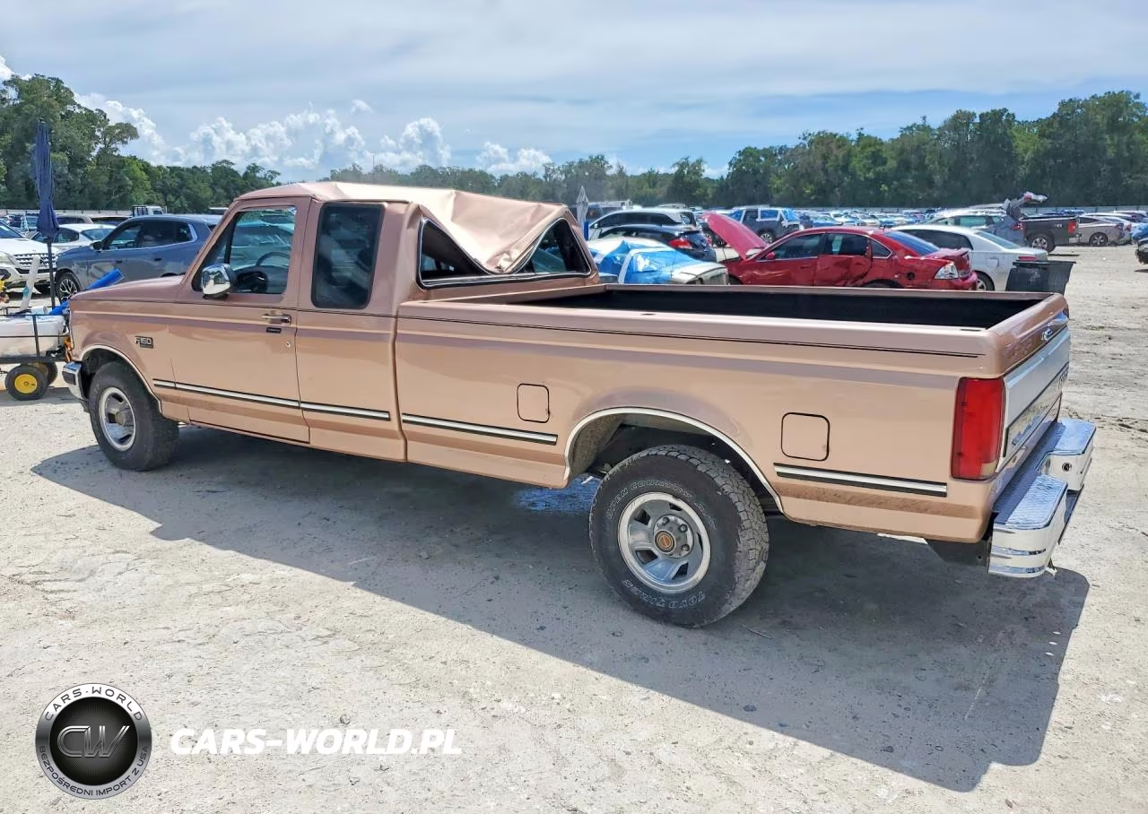 1994 Ford F150 Xlt VIN:1FTEX15N0RKB23567 - 2