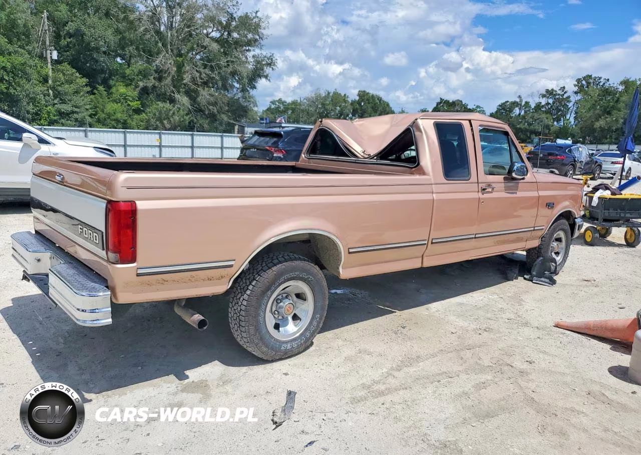 1994 Ford F150 Xlt VIN:1FTEX15N0RKB23567 - 3
