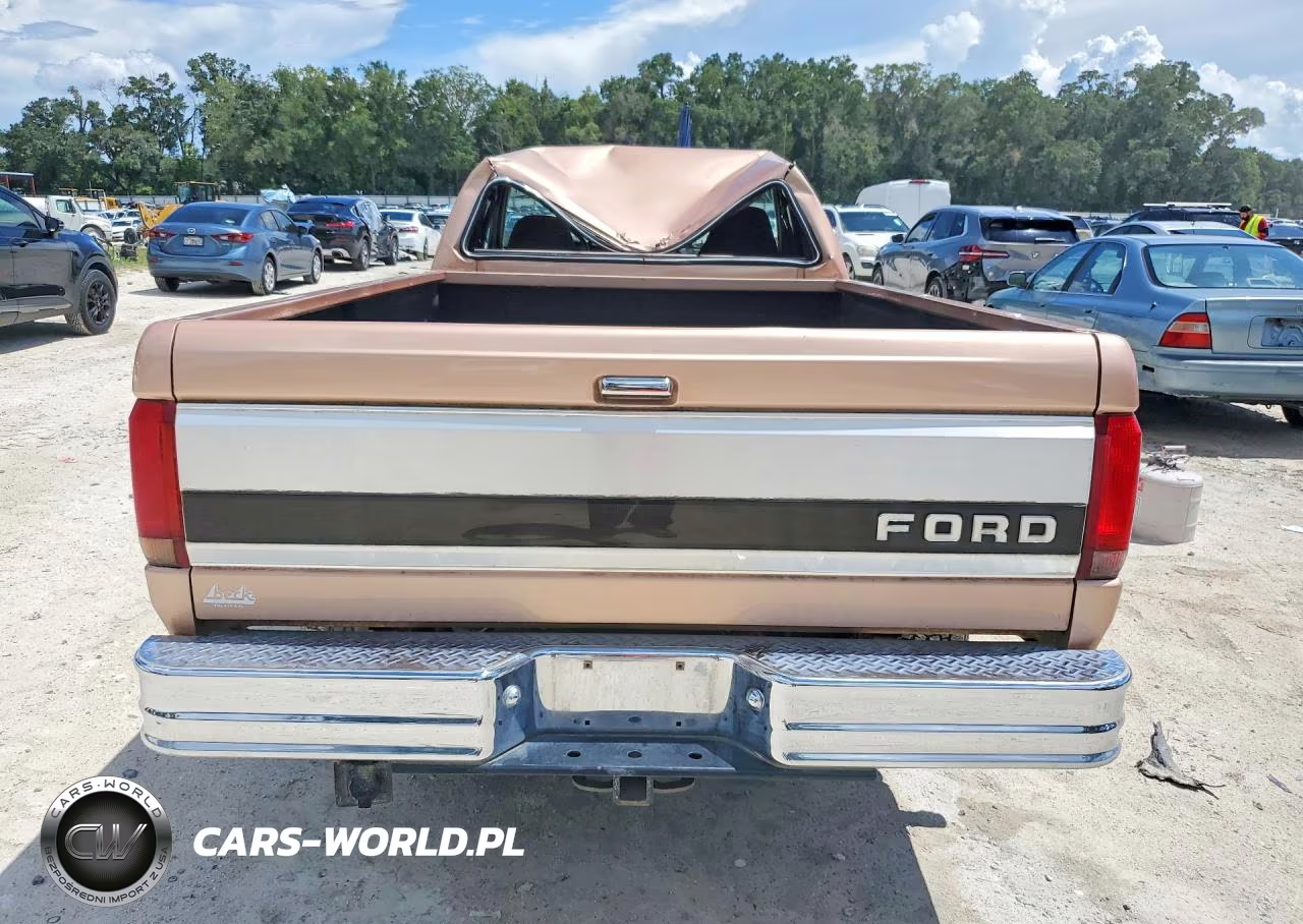 1994 Ford F150 Xlt VIN:1FTEX15N0RKB23567 - 6