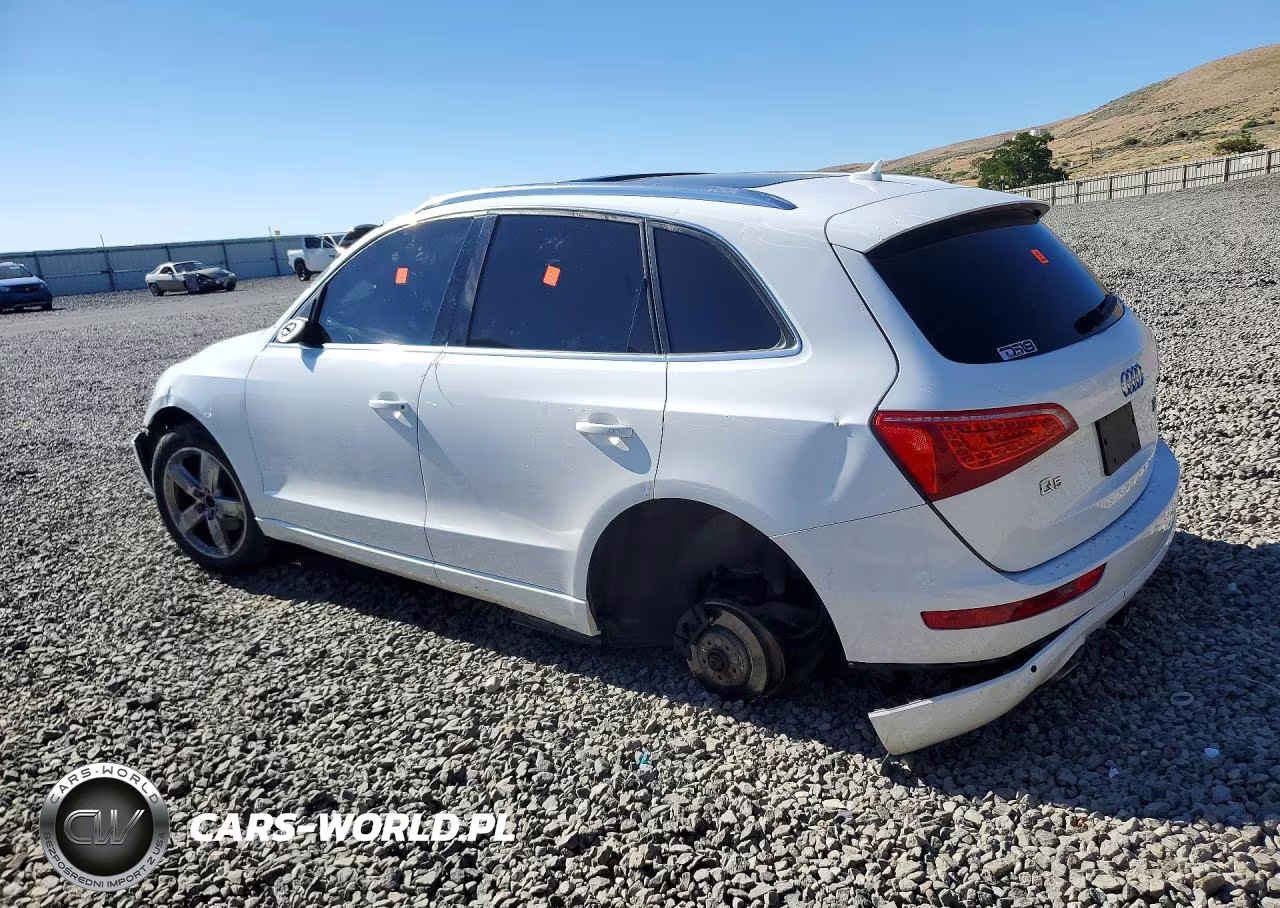 2010 Audi Q5 Premium Plus VIN:WA1LKAFP6AA106234 - 2