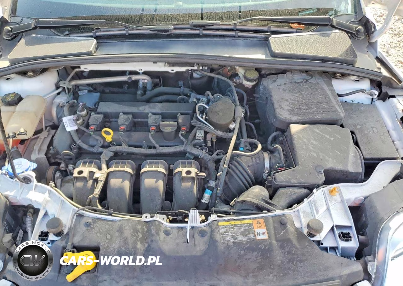 2014 Ford Focus Se VIN:1FADP3K24EL259096 - 11