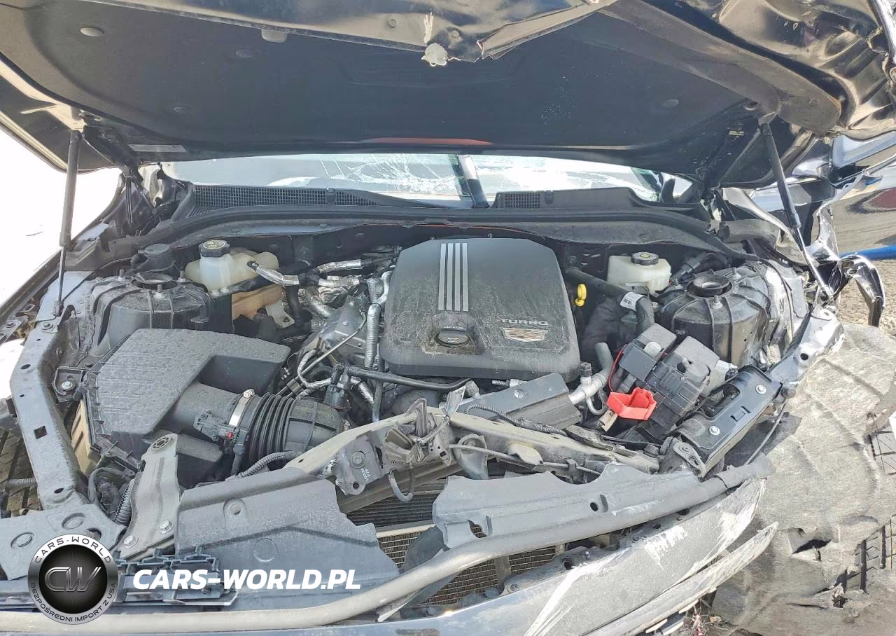 2022 Cadillac Ct5 Premium Luxury VIN:1G6DN5RK6N0121338 - 11