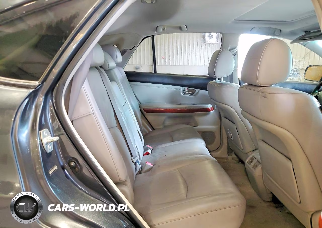 2006 Lexus Rx VIN:JTJGA31U260059345 - 11