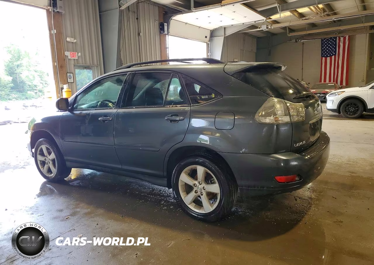 2006 Lexus Rx VIN:JTJGA31U260059345 - 2
