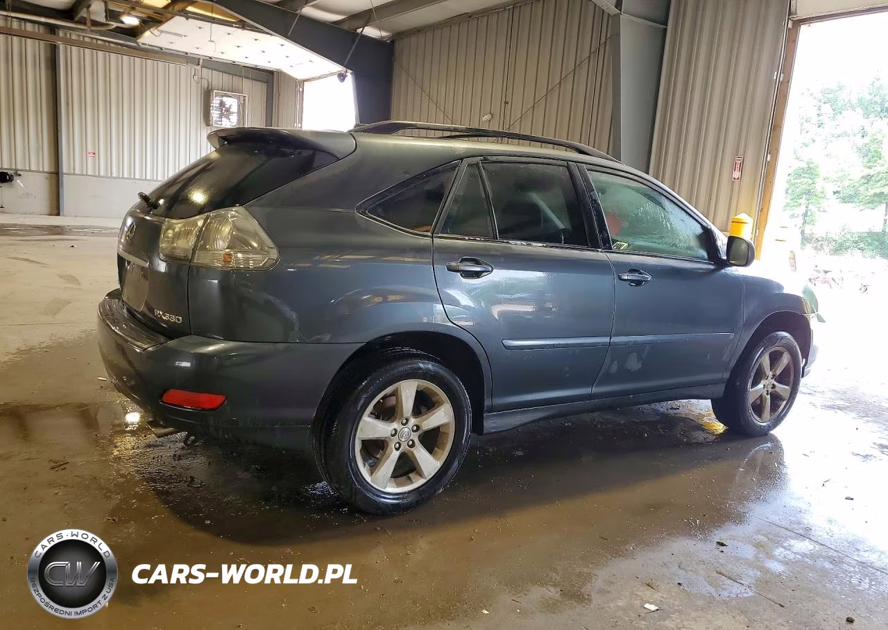 2006 Lexus Rx VIN:JTJGA31U260059345 - 3