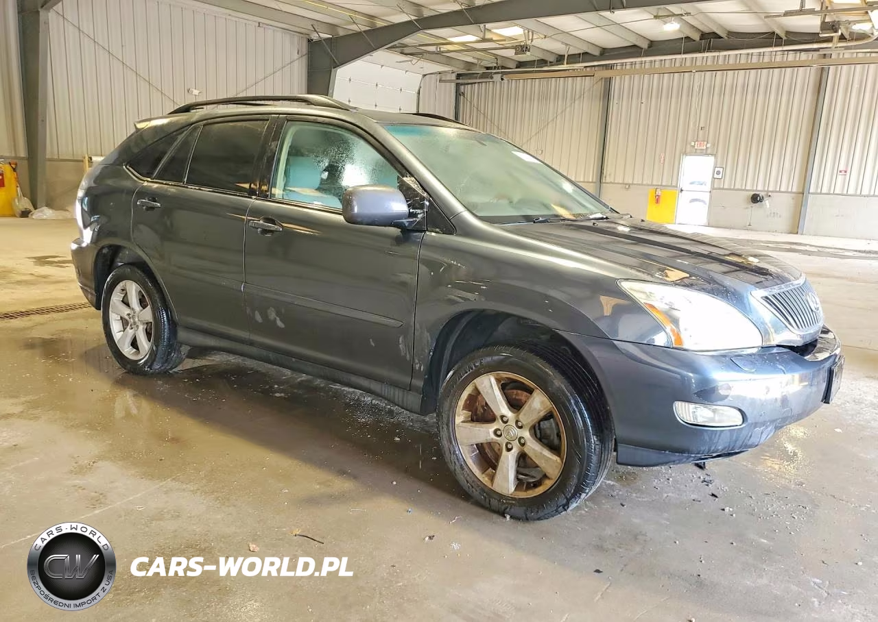 2006 Lexus Rx VIN:JTJGA31U260059345 - 4