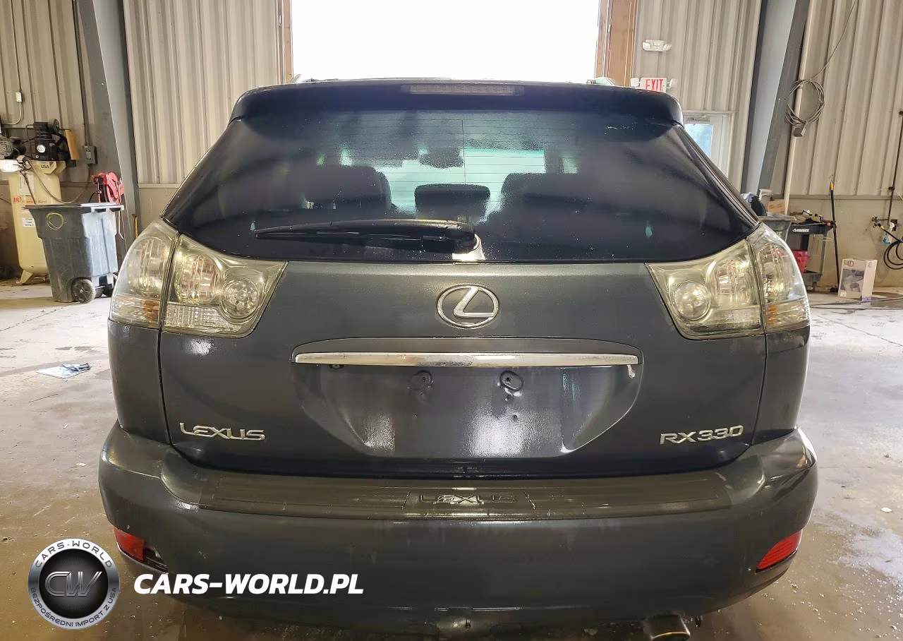2006 Lexus Rx VIN:JTJGA31U260059345 - 6