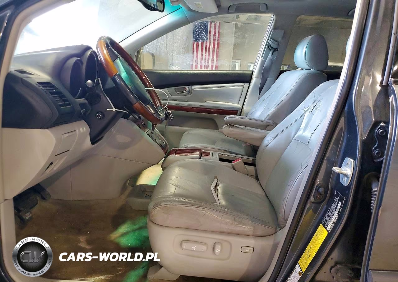 2006 Lexus Rx VIN:JTJGA31U260059345 - 7