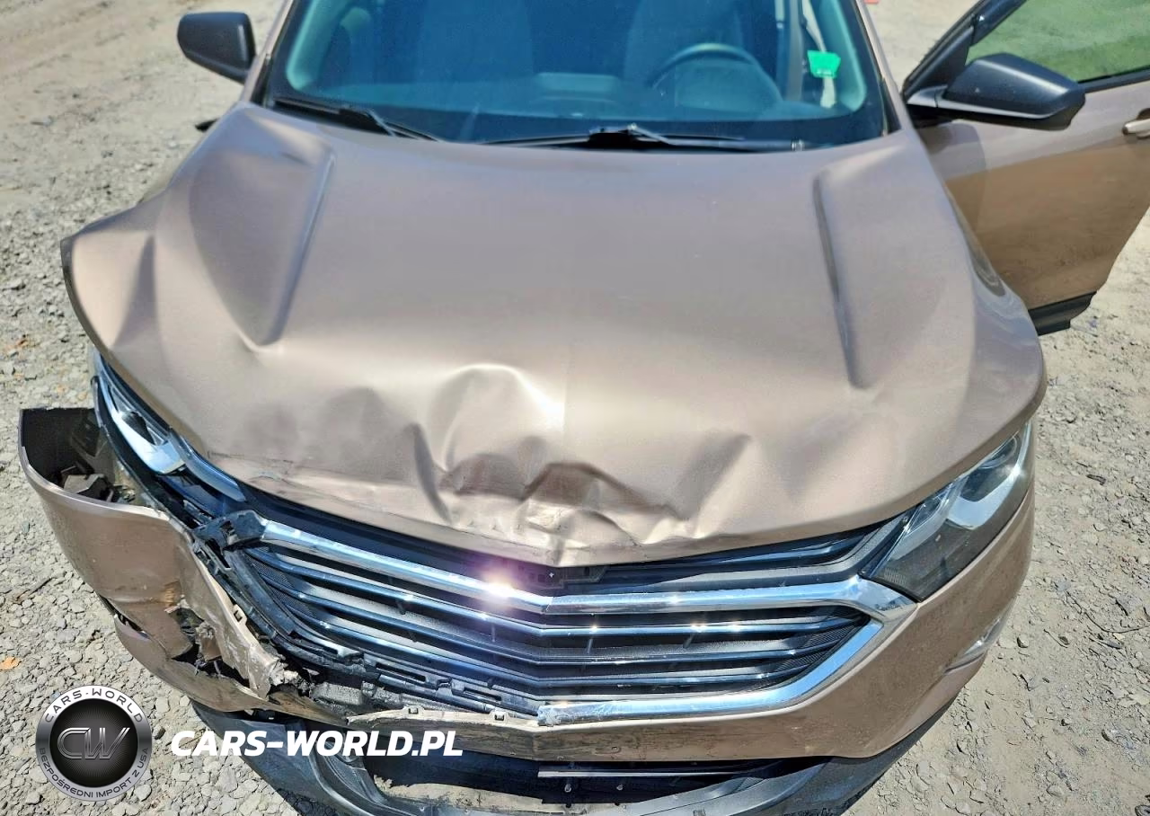 2018 Chevrolet Equinox Ls VIN:2GNAXHEVXJ6163175 - 11