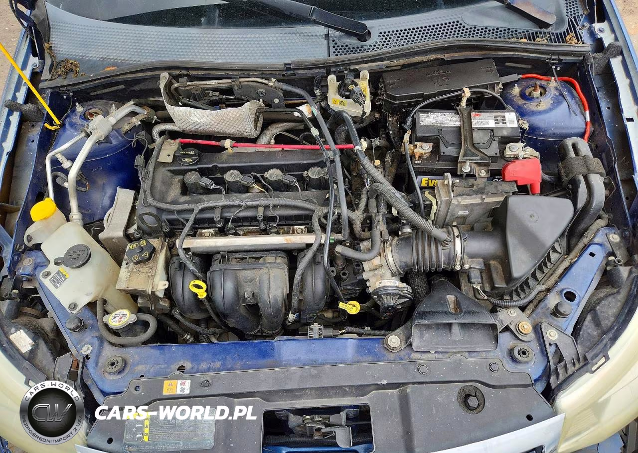 2009 Ford Focus Ses VIN:1FAHP36N79W121563 - 11