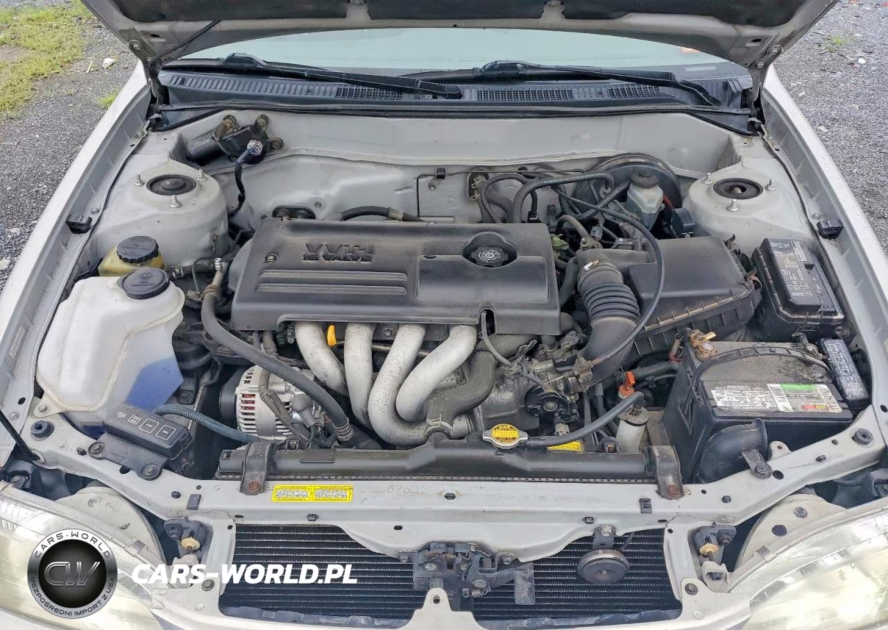 2000 Toyota Corolla Ve VIN:2T1BR12E9YC314292 - 11