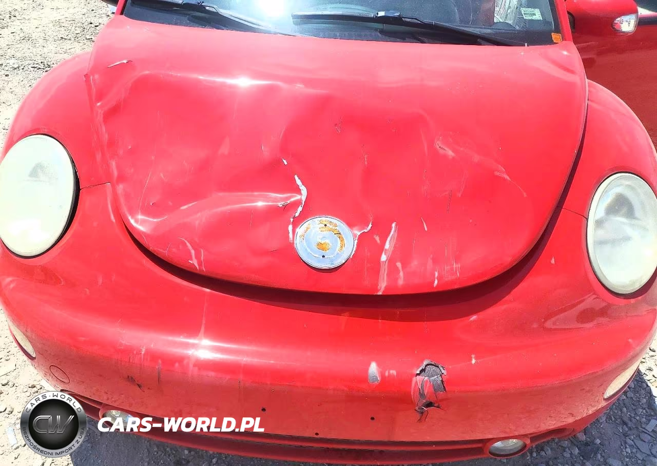2003 Volkswagen New Beetle Gls VIN:3VWCD21C13M441883 - 11