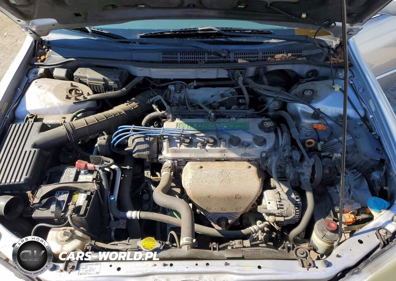 2001 Honda Accord Ex VIN:1HGCG66821A012950 - 11
